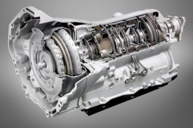 ŞANZIMAN BEYİN TAMİRİ